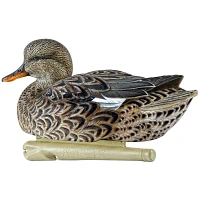 Avian-X Topflight Gadwall Decoys 6-Pack                                                                                         