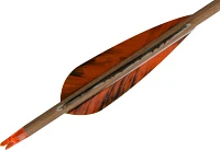 Gold Tip Traditional 500 Carbon Arrows with Feathers 6-Pack                                                                     