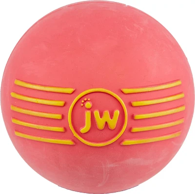 JW Pet® iSqueak Ball Dog Toy                                                                                                   