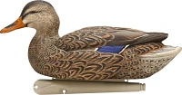 Avian-X Top Flight Open Water Mallards Decoys Set                                                                               