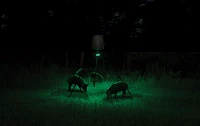 Moultrie Feeder Hog Light                                                                                                       