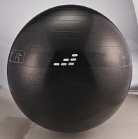 BCG cm Weighted Stability Ball