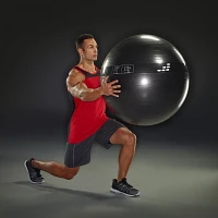 BCG cm Weighted Stability Ball