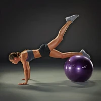 BCG cm Weighted Stability Ball