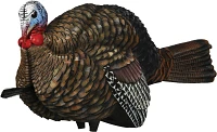 Avian-X Half-Strut Jake Turkey Decoy                                                                                            