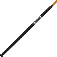 Daiwa FT Surf M Saltwater Spinning Rod                                                                                          