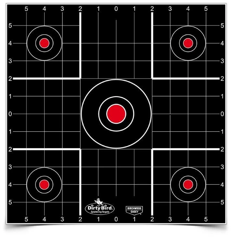 Birchwood Casey Dirty Bird 12 in Sight-in Targets 12-Pack                                                                       