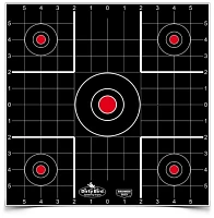 Birchwood Casey Dirty Bird 12 in Sight-in Targets 12-Pack                                                                       