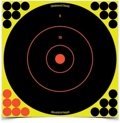 Birchwood Casey Shoot-N-C 12 in Bull's-eye Targets 12-Pack                                                                      