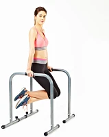 Sunny Health & Fitness Dip Station with Safety Connector                                                                        