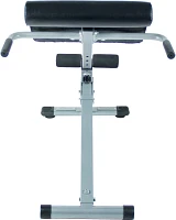 Sunny Health & Fitness 45-Degree Hyperextension Roman Chair                                                                     