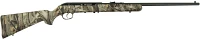 Savage Arms 64 F .22 LR Semiautomatic Rifle
