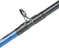 Daiwa Aird Coastal Inshore Series Saltwater Fishing Rod                                                                         