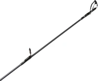 Daiwa Aird Coastal Inshore Series Saltwater Fishing Rod                                                                         