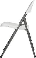 Academy Sports + Outdoors Resin Folding Chair                                                                                   
