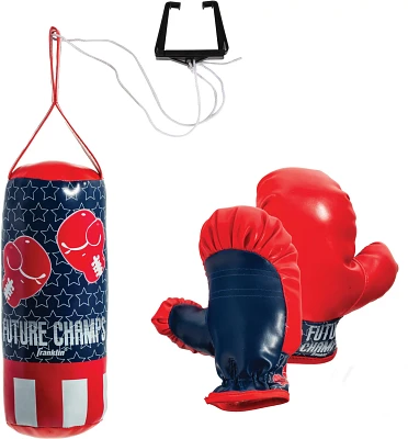 Franklin Future Champs Mini Punching Bag and Glove Set                                                                          