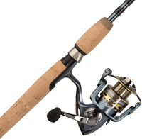 Pflueger President Spinning Rod and Reel Combo                                                                                  