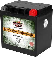 Interstate Batteries 12 V Cycle-Tron Plus Power Performance Battery                                                             