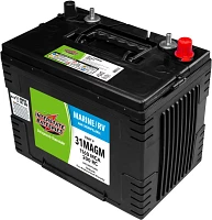 Interstate Batteries Group 31/1,160 Marine Cranking Amp AGM Battery                                                             