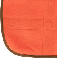 Carhartt Dog Safety Vest