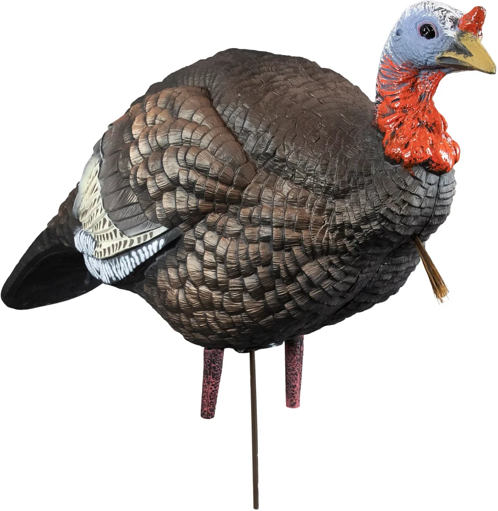 Higdon Quarter Strut Jake Decoy                                                                                                 