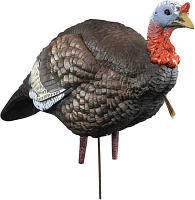 Higdon Quarter Strut Jake Decoy                                                                                                 