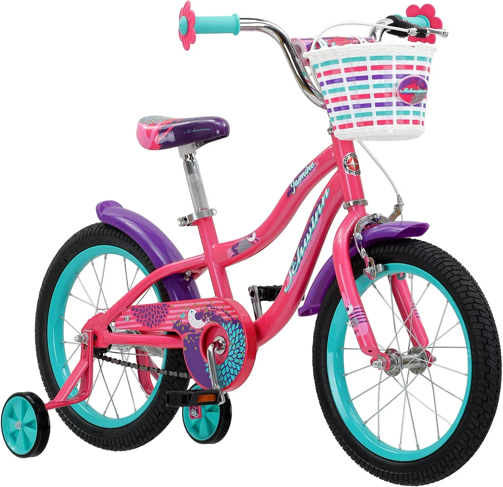 Schwinn Girls' 16 in Jasmine Bike                                                                                               