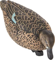 Game Winner FlexTuff Blue-Winged Teal Decoys 6-Pack                                                                             