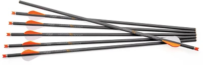 CenterPoint CP400 Carbon Arrows 6-Pack                                                                                          