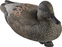 Game Winner FlexTuff Gadwall Decoys 6-Pack                                                                                      