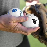 SKLZ Weighted Training Baseballs Set                                                                                            