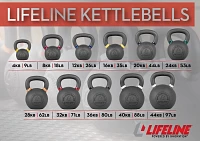 Lifeline 44 lb Kettlebell                                                                                                       