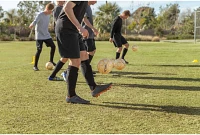 SKLZ Golden Touch Technique Training Ball                                                                                       