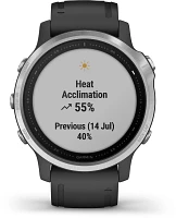 Garmin fenix 6S Smart Watch                                                                                                     