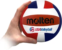 Molten Mini USA Volleyball                                                                                                      