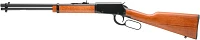 Rossi Rio Bravo .22 LR Lever Action Rifle                                                                                       