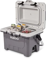 Igloo IMX 24-qt Cooler