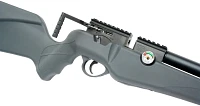Umarex USA Origin .22 Caliber PCP Air Rifle                                                                                     