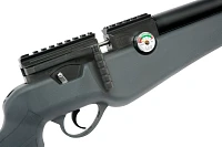 Umarex USA Origin .22 Caliber PCP Air Rifle                                                                                     