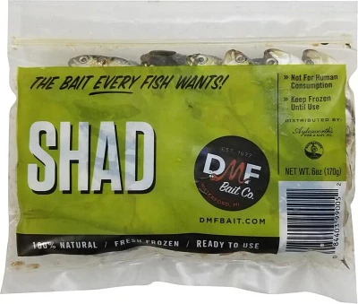 DMF Bait Shad 6-ounces                                                                                                          