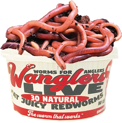 Best Catch Bait Wanglers Original Natural Worm Baits                                                                            