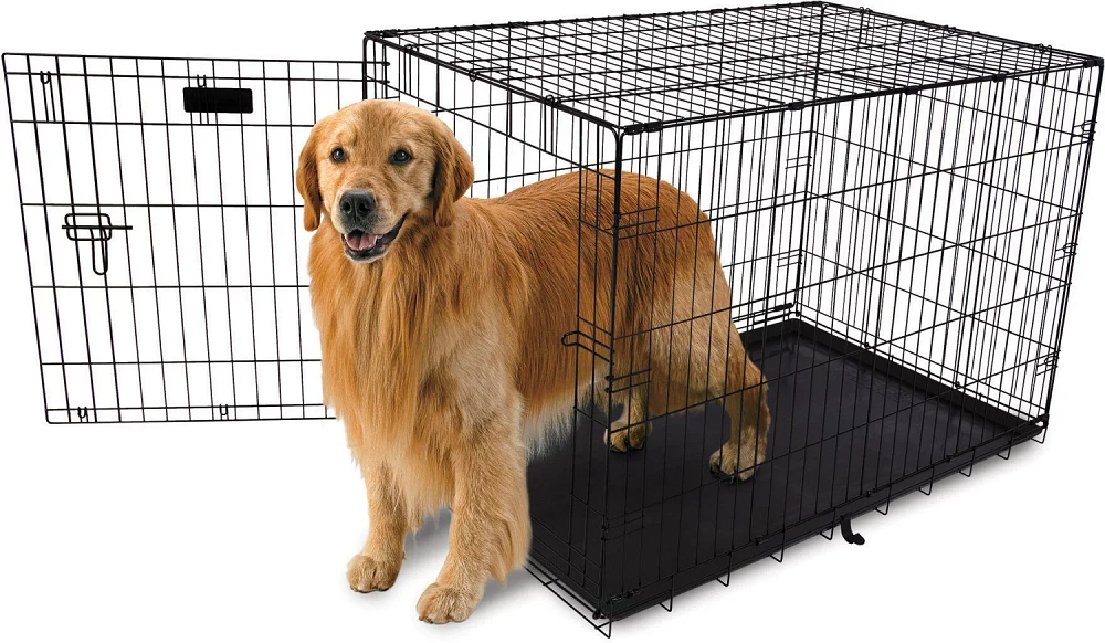 Aspen Pet 42 in Home Training Wire Kennel                                                                                       