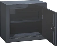 Stack-On 15 in Compact Pistol/Ammunition Cabinet                                                                                
