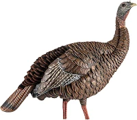 Avian-X HDR Hen Decoy                                                                                                           