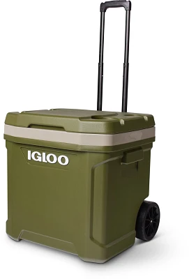 Igloo Sportsman Latitude 60 qt Roller Cooler                                                                                    