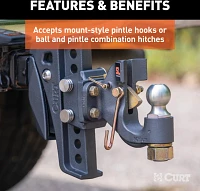 CURT Rebellion XD Pintle Mount Attachment                                                                                       