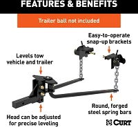 CURT Round Bar 1,000 lb WD Hitch                                                                                                