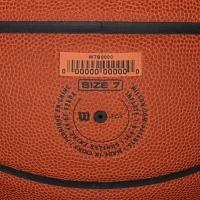 Wilson NBA Forge Series Indoor/Outdoor Basketball                                                                               