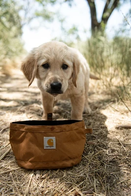 Carhartt Nylon Duck Travel Dog Bowl                                                                                             