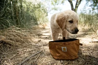 Carhartt Nylon Duck Travel Dog Bowl                                                                                             